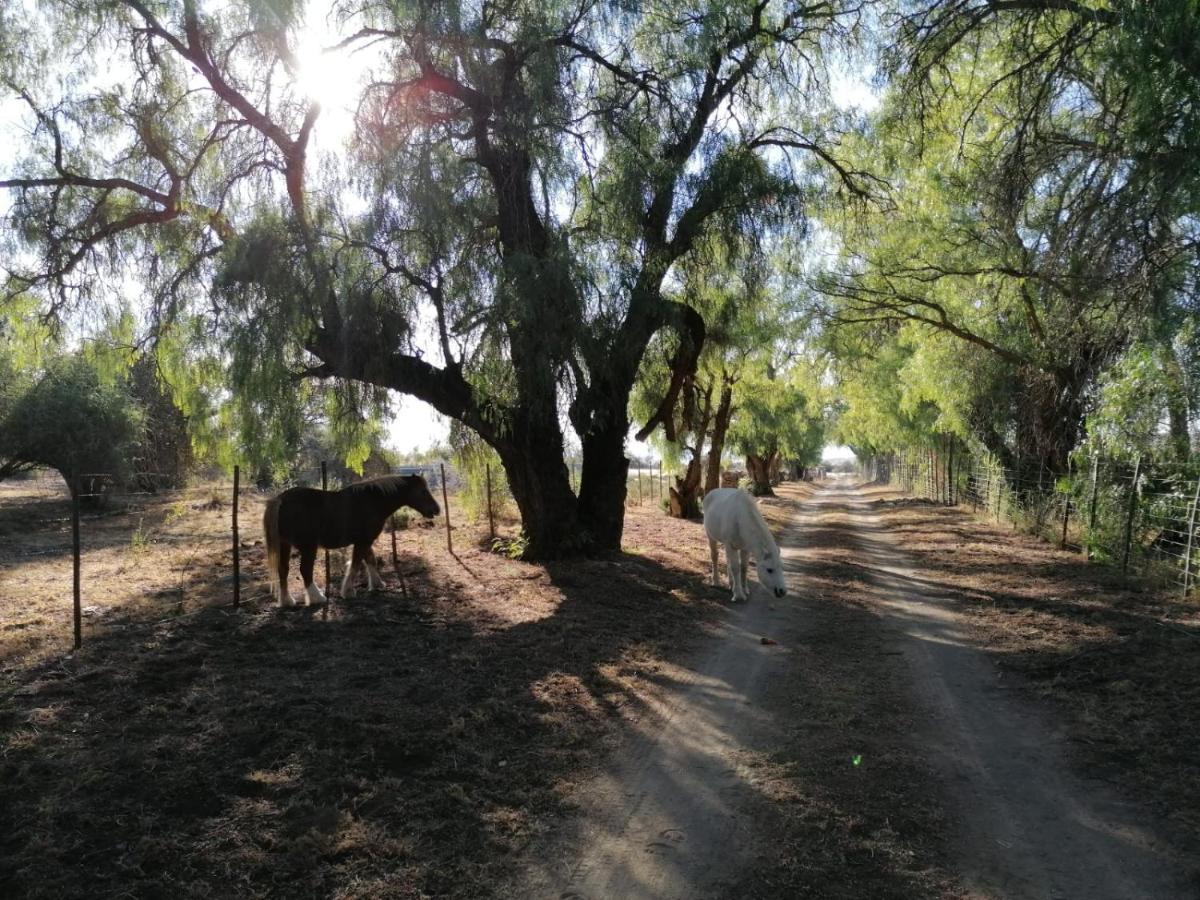 Doornfontein Guest Farm Hotel Cradock Luaran gambar