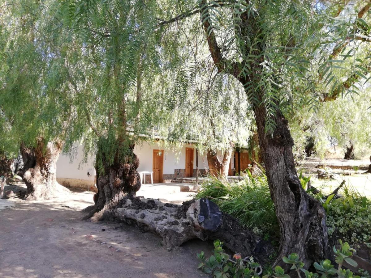 Doornfontein Guest Farm Hotel Cradock Luaran gambar
